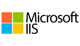 MS IIS logo