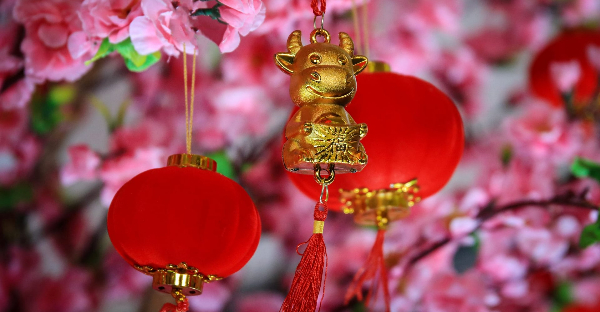 Article Title: Happy Chinese New Year!