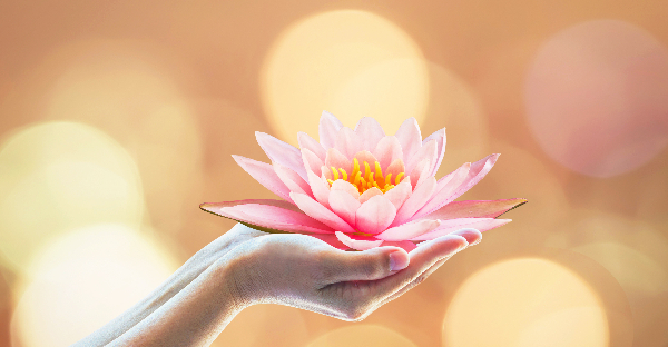 Article Title: Happy Vesak Day!